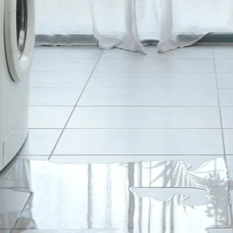 Appliance Leak Cleanup in Purchase, NY
