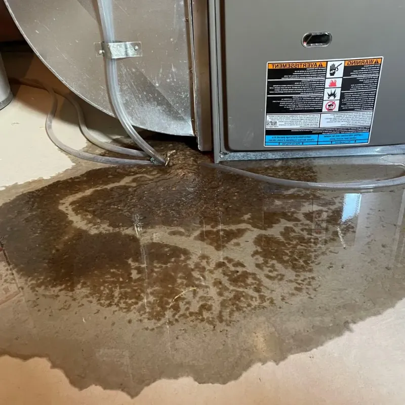 Pipe Burst and Leak Restoration in Purchase, NY